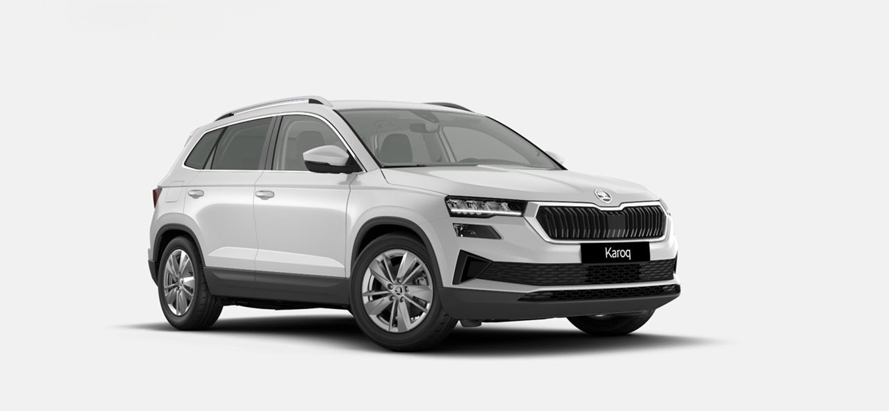 SKODA KAROQ SELECTION 2.0 TDI 115 CV