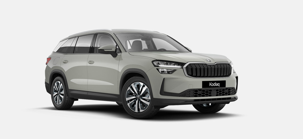 SKODA KODIAQ SELECTION 1.5 TSI 150 CV DSG HYBRIDE MHEV